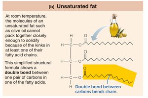 Unsaturated fat structure