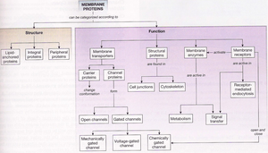 Membrane protein structure and function chart