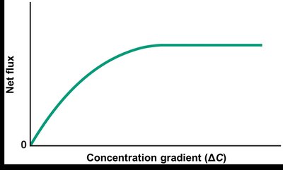 Saturation curve for facilitated diffusion
