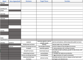 Hormone chart table