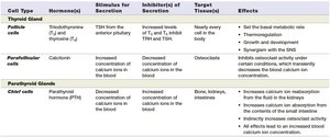 Thyroid and parathyroid summary table