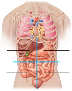 Abdominopelvic quadrants