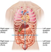 Abdominopelvic quadrants
