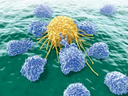 NK cells attacking a target cell