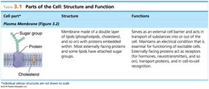 Table: Parts of the Cell - Plasma Membrane