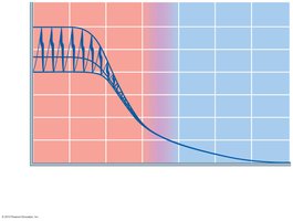 Blood pressure in various blood vessels