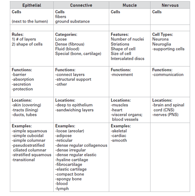 Comparison table of tissue types