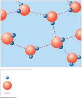 Hydrogen bonds between water molecules