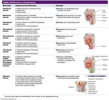 Table 9.6 Muscles of Swallowing