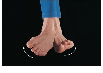 Foot inversion and eversion