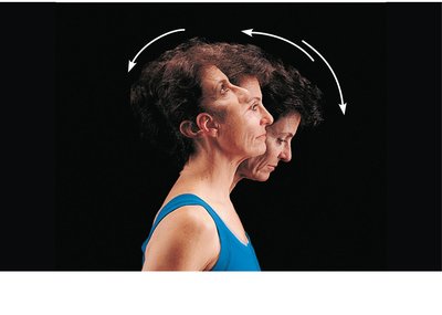 Flexion, extension, and hyperextension of the neck
