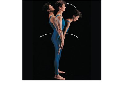 Flexion, extension, and hyperextension of the vertebral column