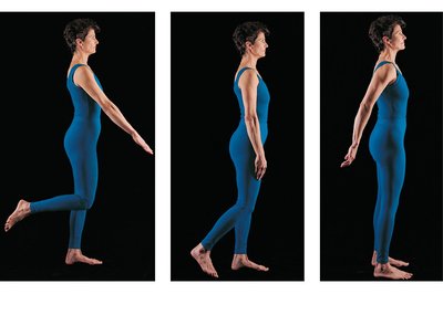 Flexion and extension at the shoulder and knee