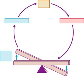 Homeostatic control mechanism diagram