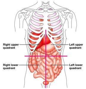 Abdominopelvic quadrants