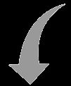 Levels of structural organization: diagram