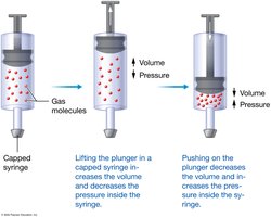 Boyle's Law illustrated with a syringe