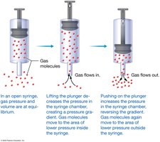 Pressure gradients in an open syringe