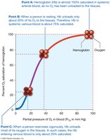Oxygen-hemoglobin dissociation curve