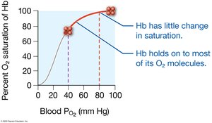 Hb saturation at high PO2