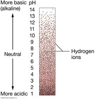 pH scale and hydrogen ions