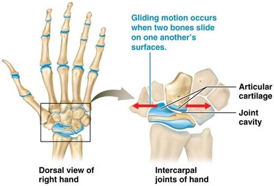 Gliding movement at intercarpal joints