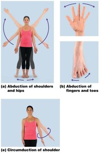 Rotation movements