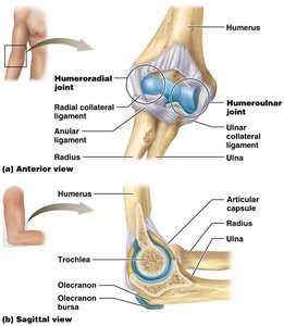 Elbow joint structure