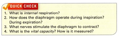 Pulmonary ventilation volumes