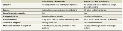 Comparison between lipid-soluble and water-soluble hormones