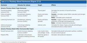 Anterior pituitary gland hormones table
