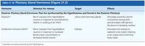Posterior pituitary gland hormones table
