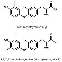 Thyroid hormone chemical structures