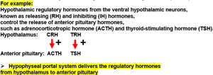 Regulatory hormones and the hypophyseal portal system