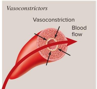 Vasoconstrictors