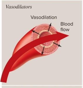 Vasodilators