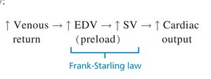 Frank-Starling law: relationship between venous return, EDV, SV, and CO