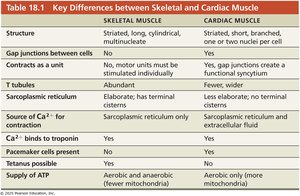 Table comparing skeletal and cardiac muscle