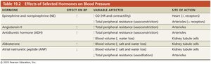 Hormonal regulation of blood pressure