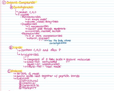Notes on organic compounds: carbohydrates, lipids, and proteins