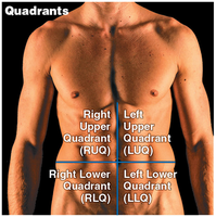 Abdominopelvic quadrants