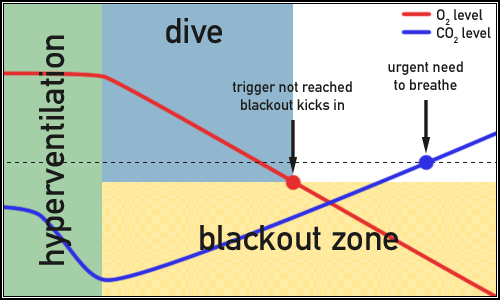CO2 and O2 levels in hyperventilation blackout