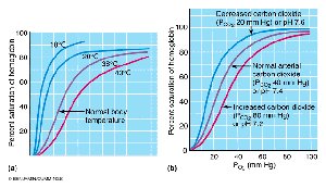 Effect of temperature and pH on oxygen-hemoglobin dissociation curve