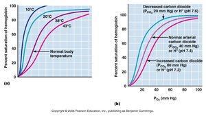 Effect of temperature and pH on oxygen-hemoglobin dissociation curve