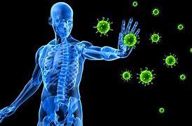Immune system defending against pathogens