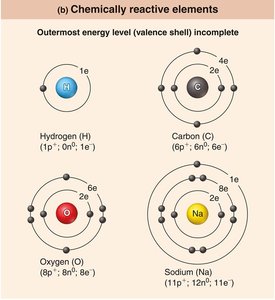 Chemically reactive elements