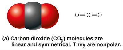 CO2 molecule: nonpolar