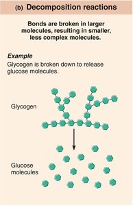 Decomposition reactions