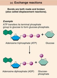 Exchange reactions