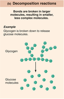 Decomposition reactions